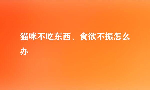 猫咪不吃东西、食欲不振怎么办
