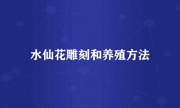 水仙花雕刻和养殖方法