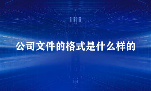公司文件的格式是什么样的