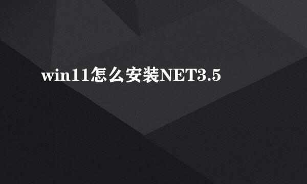 win11怎么安装NET3.5