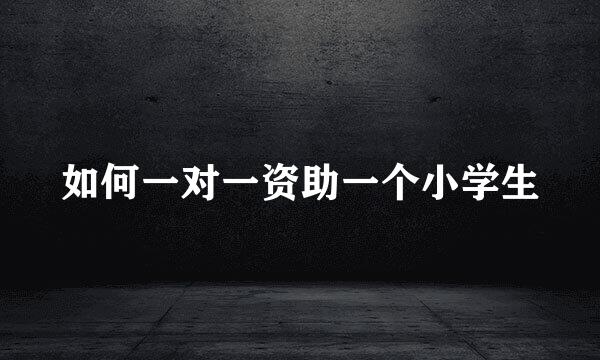 如何一对一资助一个小学生