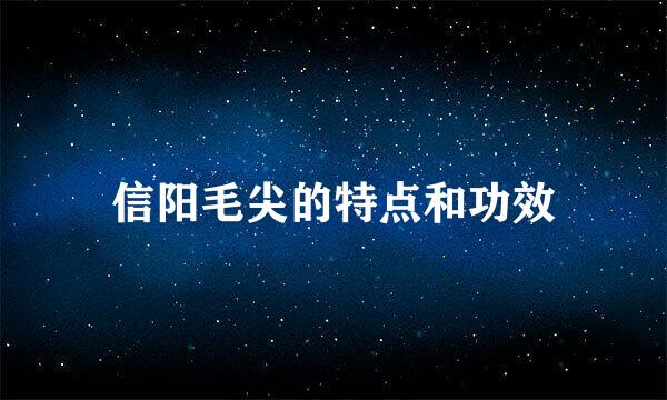 信阳毛尖的特点和功效