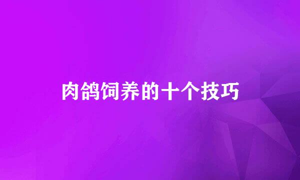 肉鸽饲养的十个技巧