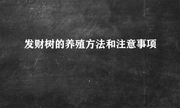 发财树的养殖方法和注意事项