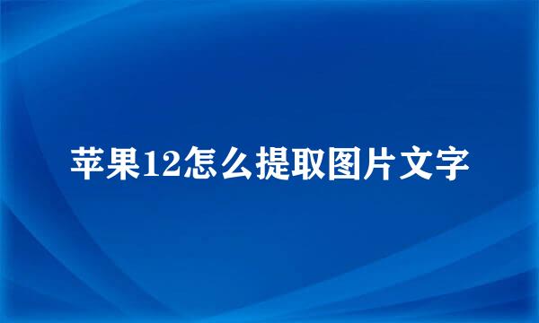 苹果12怎么提取图片文字