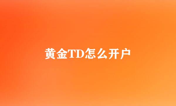 黄金TD怎么开户