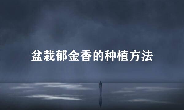 盆栽郁金香的种植方法