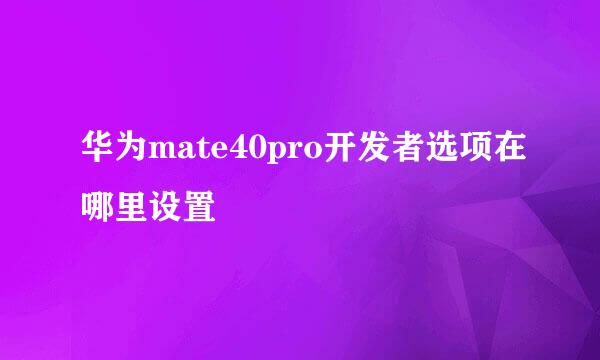 华为mate40pro开发者选项在哪里设置