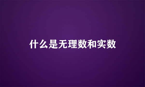 什么是无理数和实数