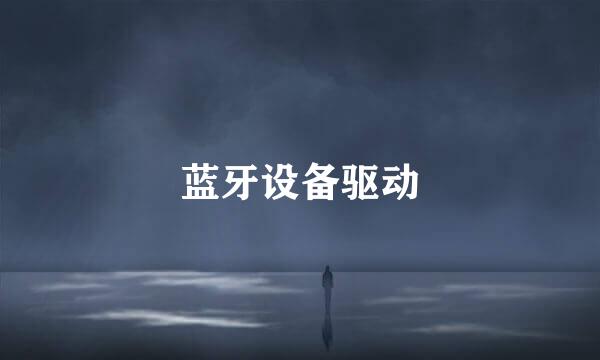 蓝牙设备驱动
