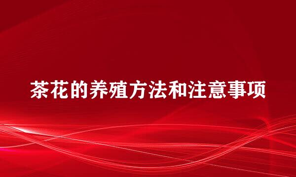 茶花的养殖方法和注意事项