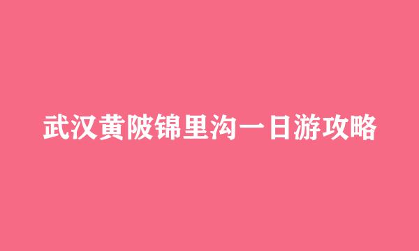 武汉黄陂锦里沟一日游攻略