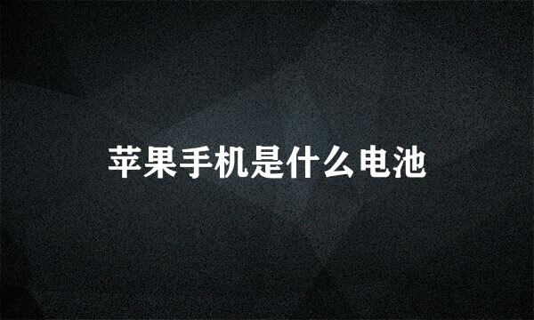 苹果手机是什么电池