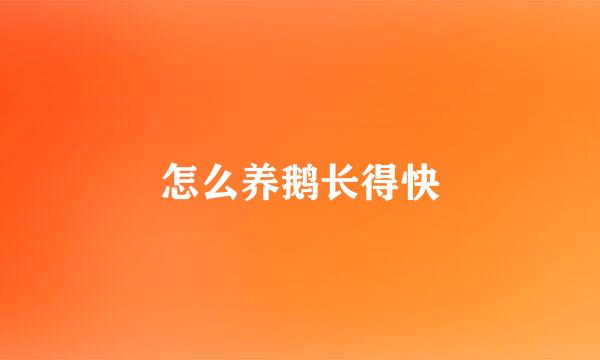 怎么养鹅长得快