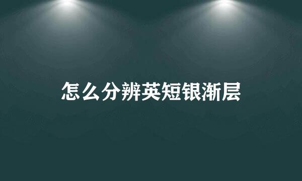怎么分辨英短银渐层