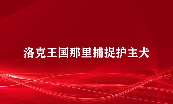 洛克王国那里捕捉护主犬