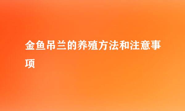 金鱼吊兰的养殖方法和注意事项