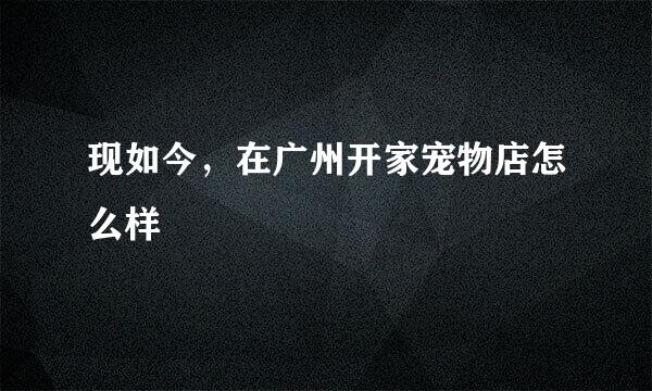 现如今，在广州开家宠物店怎么样