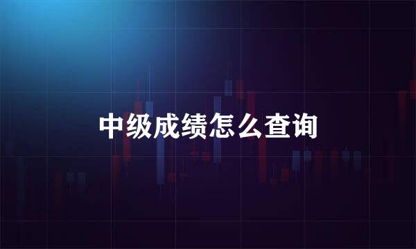 中级成绩怎么查询
