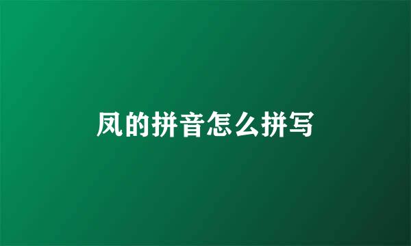 凤的拼音怎么拼写
