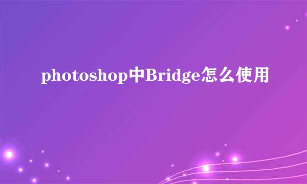 photoshop中Bridge怎么使用