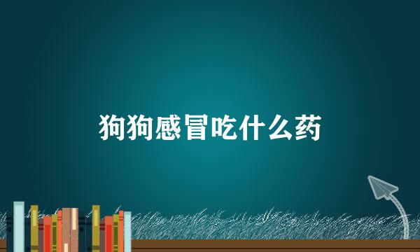 狗狗感冒吃什么药