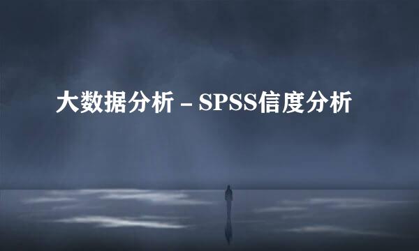 大数据分析－SPSS信度分析