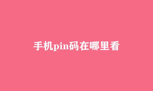 手机pin码在哪里看