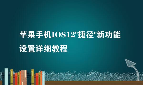 苹果手机IOS12