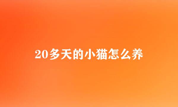 20多天的小猫怎么养