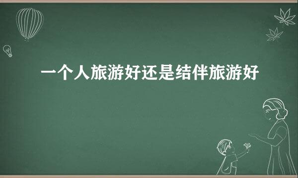 一个人旅游好还是结伴旅游好
