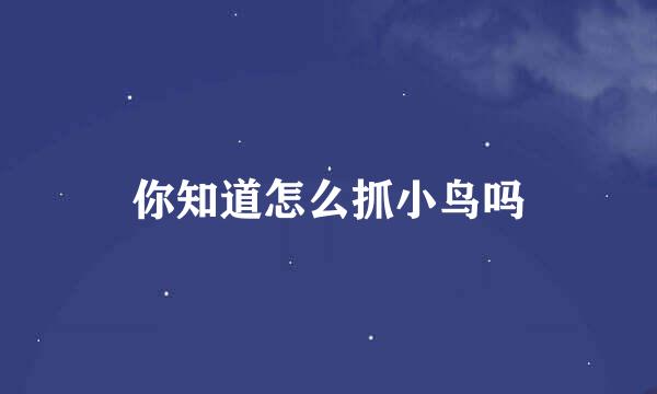 你知道怎么抓小鸟吗