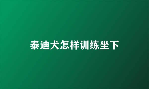 泰迪犬怎样训练坐下