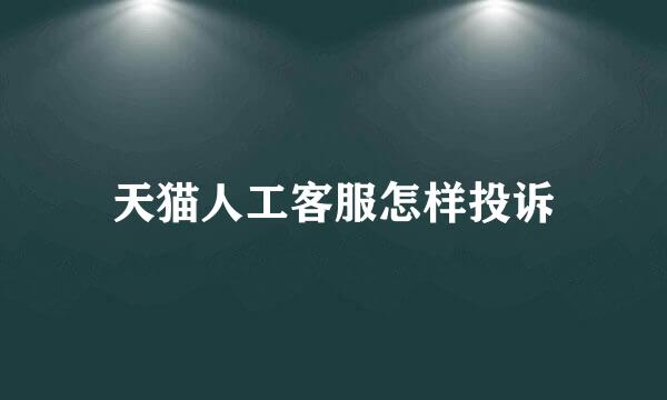 天猫人工客服怎样投诉