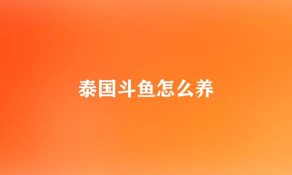 泰国斗鱼怎么养