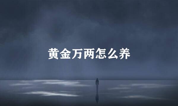 黄金万两怎么养