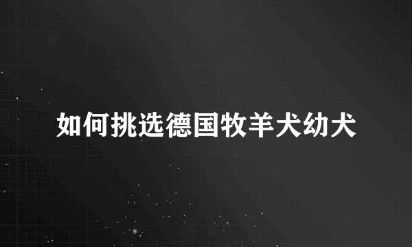如何挑选德国牧羊犬幼犬