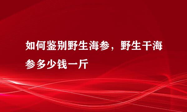如何鉴别野生海参，野生干海参多少钱一斤