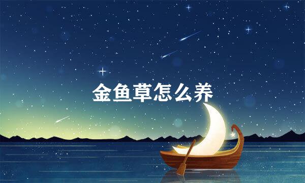 金鱼草怎么养