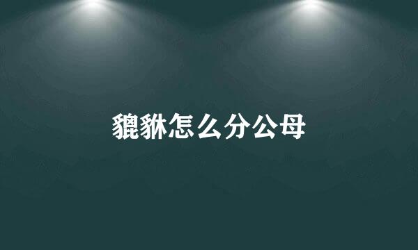 貔貅怎么分公母