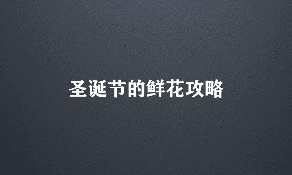 圣诞节的鲜花攻略