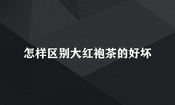 怎样区别大红袍茶的好坏