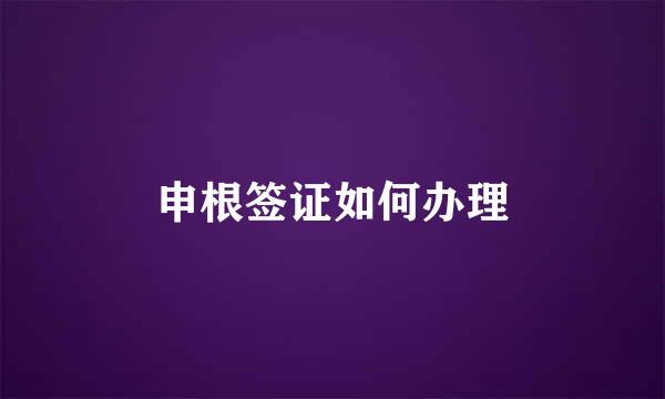 申根签证如何办理