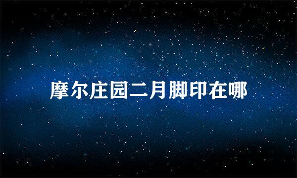 摩尔庄园二月脚印在哪