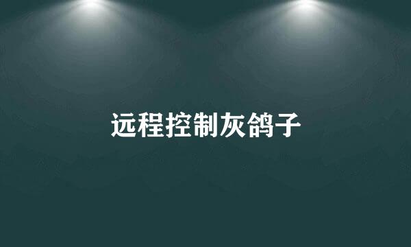 远程控制灰鸽子