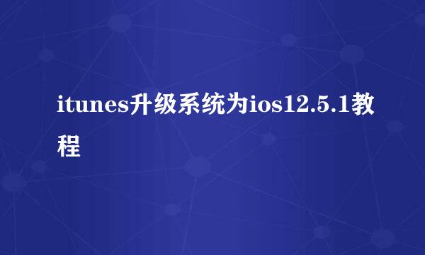 itunes升级系统为ios12.5.1教程