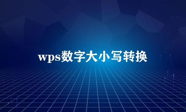 wps数字大小写转换