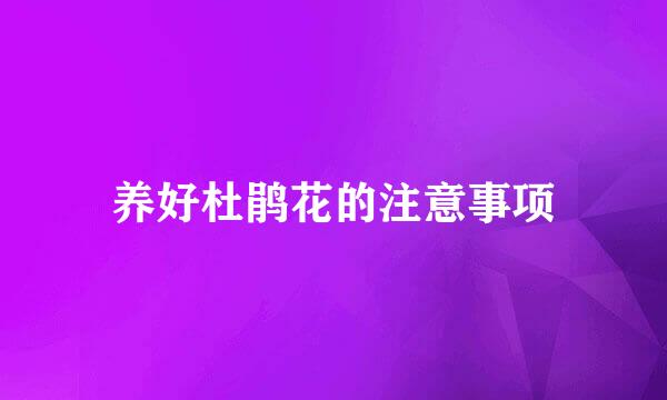 养好杜鹃花的注意事项