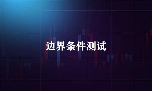 边界条件测试