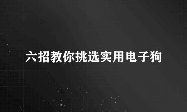 六招教你挑选实用电子狗